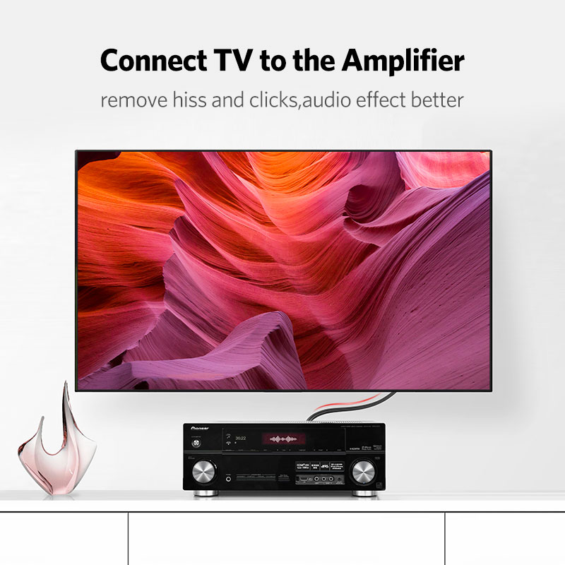 UGREEN 2RCA to 2 RCA Male to M - Home Cinema Furniture 评论和价格