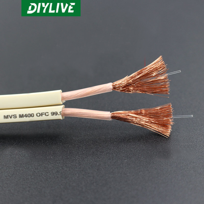 DIYLIVE HiFi Speaker line home - Home Cinema Couch 评论和价格