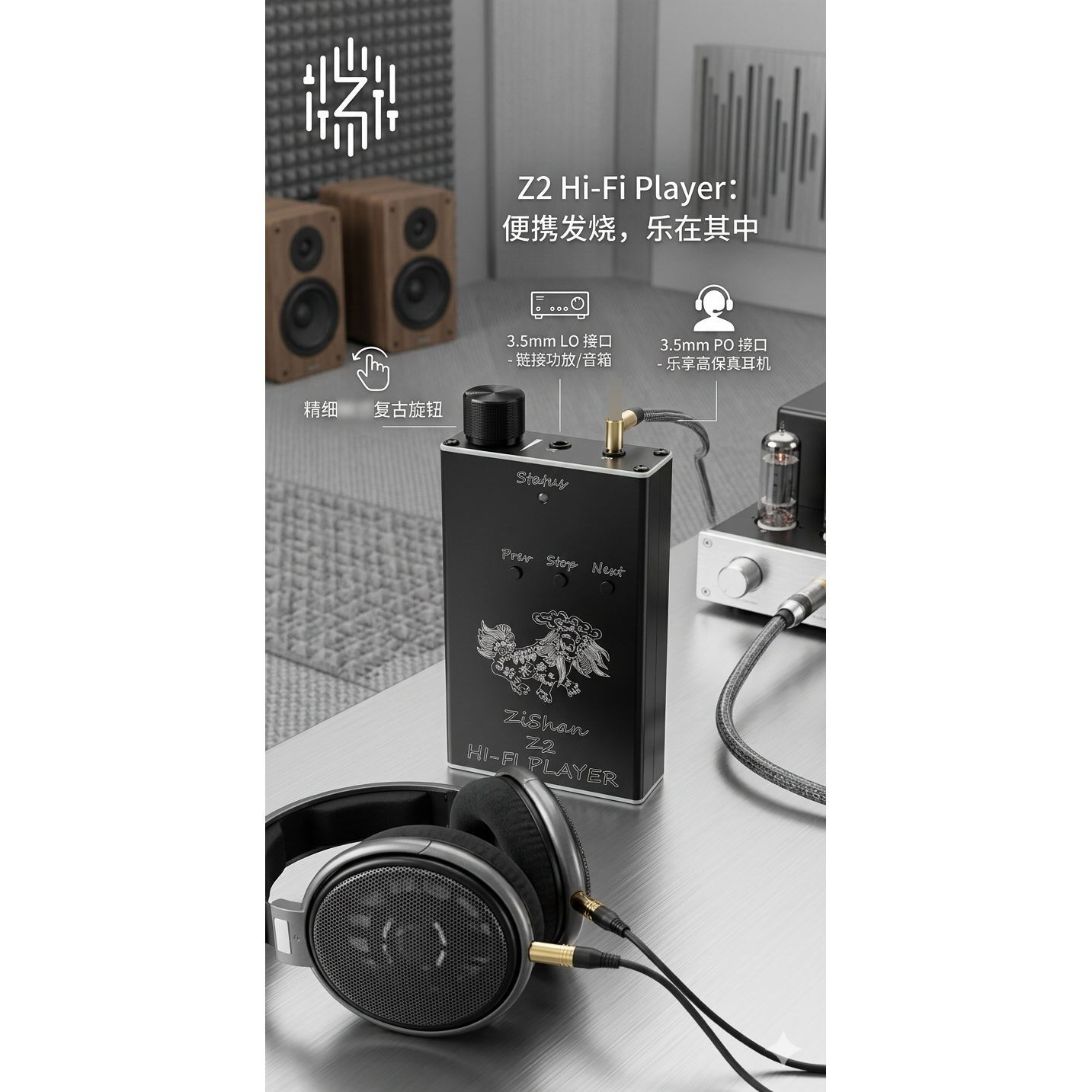Zishan Z2 hifi DSD hard soluti - Home Cinema Hifi 评论和价格