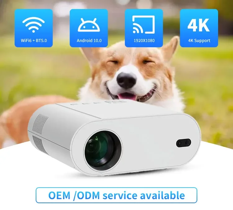 2025 Rongqi  L007 PRO Triple L - Home Cinema Ultra Short Throw Projector 评论和价格